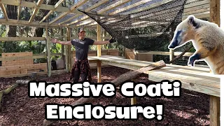 It took us THREE MONTHS to build this huge coatimundi enclosure!