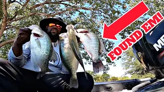 Heres Where I Found A Limit Of Giant Crappie!