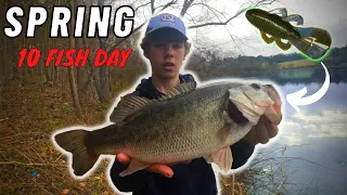 FISHING For Early SPRING BASS! || They Couldn't Resist This LURE!