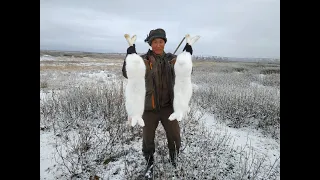 +18 Охота на зайца в Якутии Yakutia