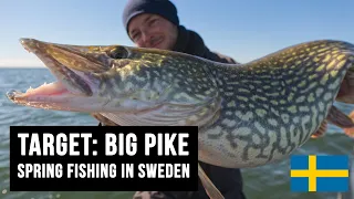 TARGET: BIG PIKE! Spring fishing in Sweden, cast until you drop 🤙🤙
