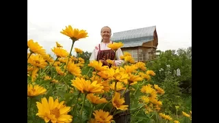 Родовое Поместье Жить по русски ч1