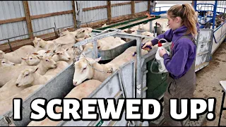 well... that's a re-do.  | lice treating ewes, corn harvest & a look back at Billy's Mom🥰 | Vlog 632