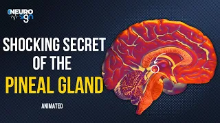 The Insane Secret Of The Pineal Gland