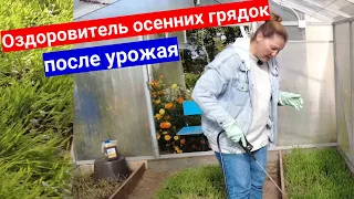 Как обработать и чем пролить почву осенью в теплице от вредителей и болезней после сбора урожая.