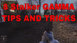 8 Tips And Tricks I Wish I Knew Before Starting Stalker GAMMA