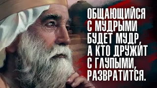 Царь Соломон - Общающийся с мудрыми будет мудр, а кто дружит с глупыми, развратится.