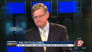 Will Red Flag Laws Prevent Mass Shootings? p1