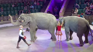 Цирк! Цирк! Цирк! «Девочка и слон», часть 3