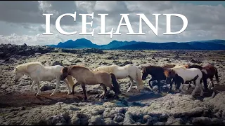 1 HOUR of BEAUTIFUL ICELAND - Nature and Horses with Relaxing Music | Stress Relief