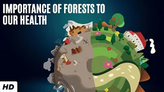 Importance Of Forests To Our Health