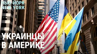 США примут 100 тысяч беженцев из Украины. Что их ждёт? | НЬЮ-ЙОРК, NEW YORK