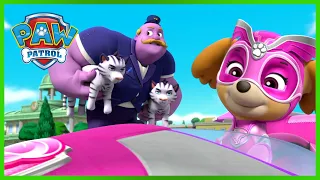 ¡Los cachorros de La Patrulla Canina rescatan a un mega alcalde y más! - Compilación de PAW Patrol