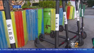 Bird, Lime Disable Scooters In Protest Against Santa Monica