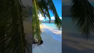 Невероятные пляжи Лас Галерас, Самана 🌴