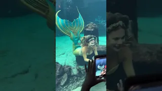 Can you see underwater? 💙 #mermaid #mermaids #professionalmermaid #wow #underwater