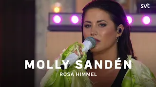 Molly Sandén – Rosa Himmel | Allsång på Skansen Extra | SVT