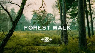 Forest Photo Walk with the Mamiya RB67 & Leica M6