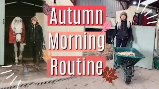 My Horses Autumn Morning Routine | Lilpetchannel