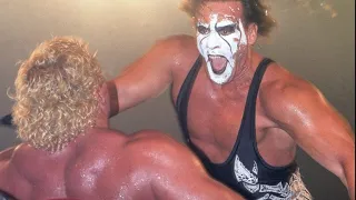 Sting and Goldberg vs Rick Steiner and Sid Vicious