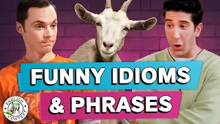 Funny Idioms & Phrases