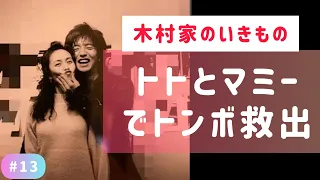 【癒し】木村家にはたくさんのいきものがいます*:･✿ฺ