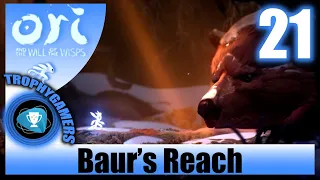 Ori and the Will of the Wisps - How To Wake Up Baur - Baur’s Reach - Light Burst ability