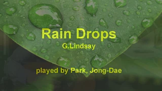 Rain Drops (빗방울) Guitar - G.Lindsay / Jong-Dae Park