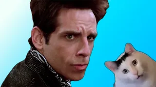 Zoolander feeds the cat