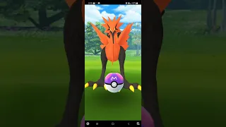Catching Galarian Zapdos with the Master ball on Pokémon GO