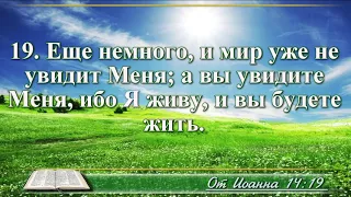 ВидеоБиблия Евангелие от Иоанна с музыкой глава 14 драматизированный перевод