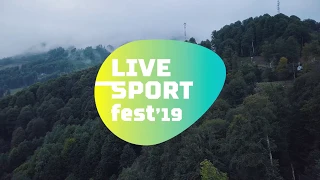 Live Sport Fest 2019: Турнир по волейболу