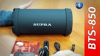Портативная акустическая система SUPRA BTS-850