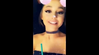Ariana Grande Instagram Stories 2019 | Logoless