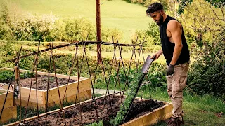 Chef Escaped Covid Lockdown In London To Start A Homestead In The Countryside 👨‍🌾