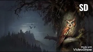 Il regno di Ga'hoole: parte finale della serie dei gufi 🦉