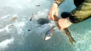 Запускаем щуку в секретное озеро