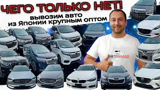 Продолжаются поставки авто из Японии! Все больше свежих авто❗BMW❗LEXUS❗PRADO❗Alphard❗CX8❗Elgrand❗