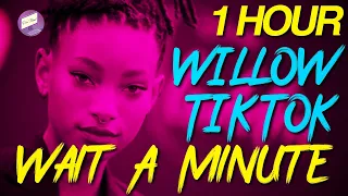 Willow - Wait A Minute TikTok REMIX 1 Hour Loop // Wait A Minute by Willow *NO ADS*