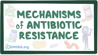 Mechanisms of antibiotic resistance
