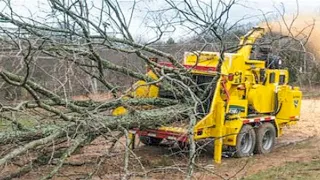 Amazing Huge Tree Shredder Wood Chipper Machines Working, Fastest Stump Crusher Whole Tree Chipping