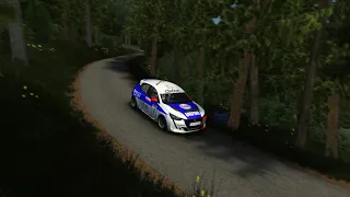 Passage AFM Turini Gallego / Peugeot 208 Rally 4 / Assetto Corsa