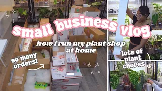 Small Business Vlog🪴: So Many ORDERS💚Packing&Shipping Rare Plants, Ikea Greenhouse Cabinet Refresh✨