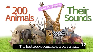 200 Animal Names and Sounds: An Educational Guide for Kids and Adults