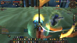 PVP Paladin Retribution WOTLK 2v2 Arenas 3.3.5a