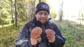 За грибами в Золотую осень. Пермь. 28сент 2021 1 часть
