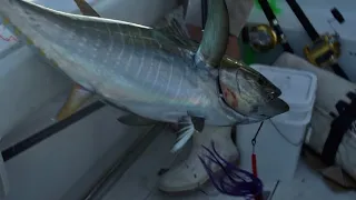 24 hour offshore fishing Long Island Newyork (blood on deck)