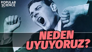 Neden Uyuyoruz | Popular Science Türkiye