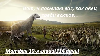 Евангелие от Матфея 10 глава (214 день) Вот, Я посылаю вас, как овец среди волков...