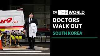 ‘Overworked, underpaid and unheard’ say South Korean trainee doctors amid mass walkout | The World